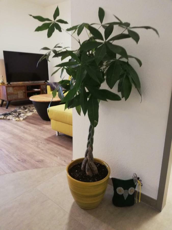 Schmaranzer Apartman Bad Ischl Kültér fotó